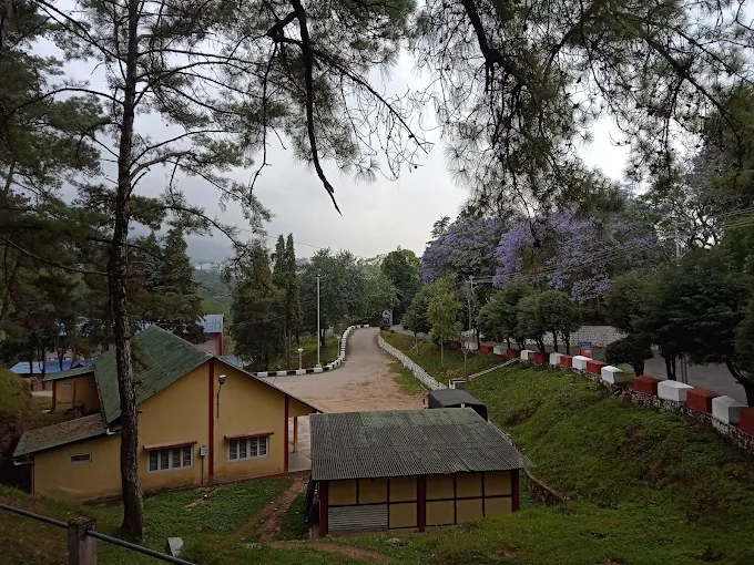 Best Schools in Shillong 21 BSF Senior Secondary School, Shillong,best schools in Shillong