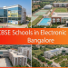 CBSE schools in Electronic City