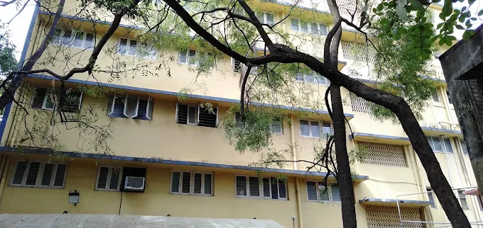 KK Rajput School